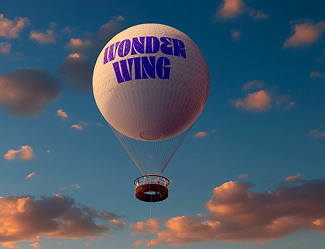 wonderwing